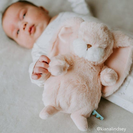 Bunnies By The Bay Cuddly Rabbit Small Pink 20cm