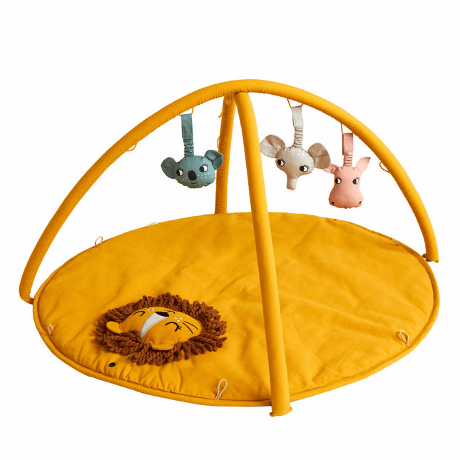 Współlokator Babygym Lion