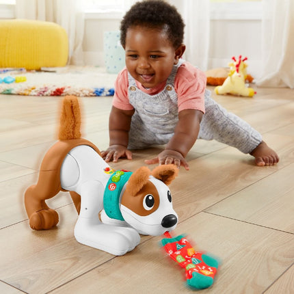 Fisherprice 123 Kruip Met Mij Puppy - Babywinkel - 0194735068159