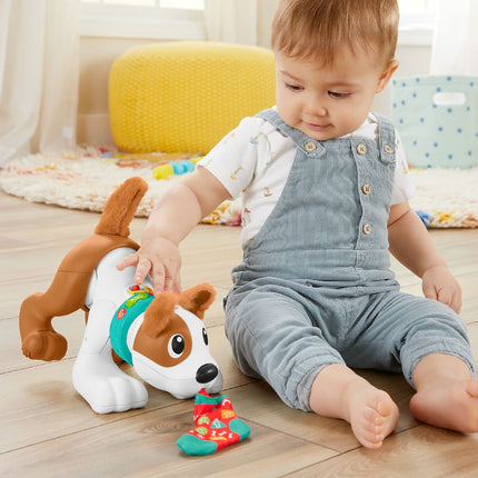 Fisherprice 123 Kruip Met Mij Puppy - Babywinkel - 0194735068159