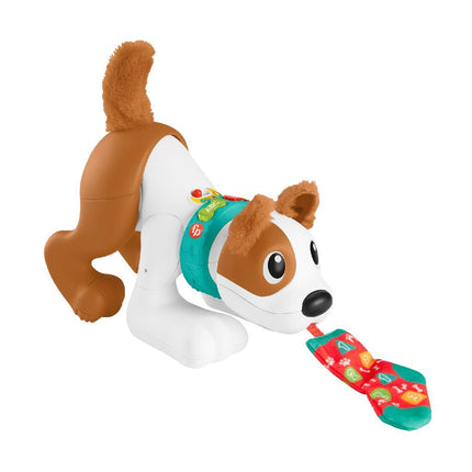 Fisherprice 123 Kruip Met Mij Puppy - Babywinkel - 0194735068159